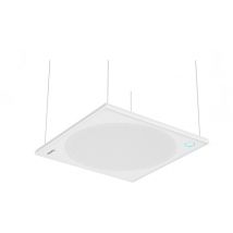 nearity A50 Full Duplex Ceiling Mic (Ethenet Cable Not Included)
