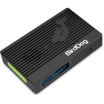 BirdDog 4K HDMI 2 channels 3840 x 2160 pixels