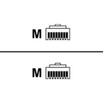 Perle 3m Gigabit Cat.5 networking cable Cat5