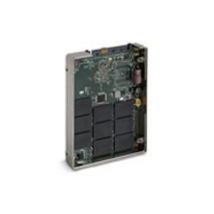 HGST 250GB SAS MLC RI 20NM CRYPTO-E