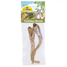 JR Farm Pastinaakwortels - 50 g