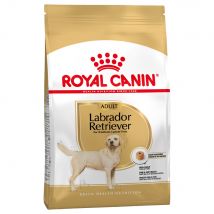 Royal Canin Labrador Retriever Adult Crocchette cane - Set %: 2 x 12 kg