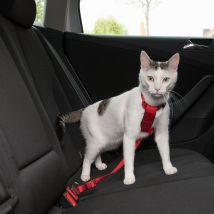 Cinturón de seguridad Trixie para gatos - Rojo