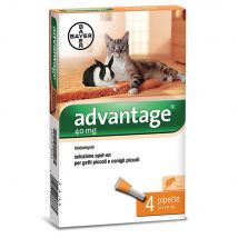Advantage® 40 soluzione spot-on gatti e conigli da 0 a 4 kg - 4 pipette da 0,4 ml