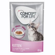 Concept for Life Maine Coon Kitten pour chaton - en complément : 12 x 85 g Concept for Life Kitten en sauce pour chaton