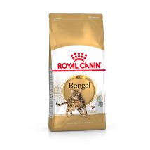 Multipack risparmio! 2 x 10 kg Royal Canin Breed Crocchette per gatto - Bengala Adult