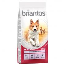 Prezzo speciale! 14 kg Briantos Crocchette per cani - Adult Salmone & Riso