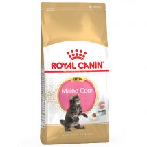 Multipack risparmio! 2 x 10 kg Royal Canin Breed Crocchette per gatto - Maine Coon Kitten