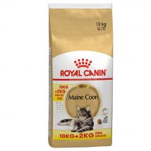 10kg+2kg offerts, Maine Coon Adult promo Royal Canin Breed - Croquettes pour chat