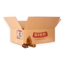 Orejas de cerdo Dibo Premium - 2,5 kg