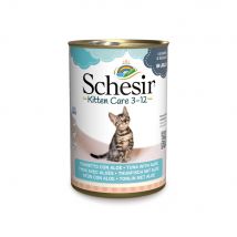 Schesir Kitten en gelatina atún con aloe - 6 x 140 g