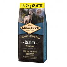 12kg saumon Adult Carnilove Croquettes pour chien + 2 kg offerts !