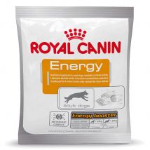 50g Energy Royal Canin Hondensnacks