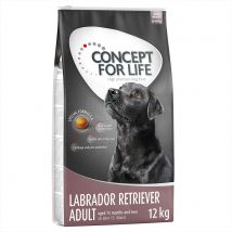 Concept for Life Economy Packs - Labrador Retriever Adult (2 x 12kg)