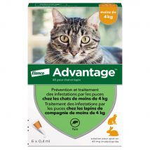 6 pipettes Ad-vantage 40 pour chat et lapin de moins de 4 kg