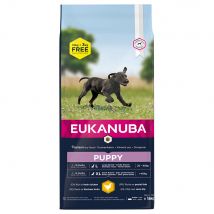 18kg Puppy Large Breed poulet Eukanuba Croquettes pour chien