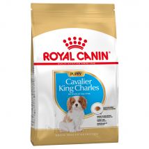 Royal Canin Cavalier King Charles Puppy - 3 x 1,5 kg - Pack Ahorro