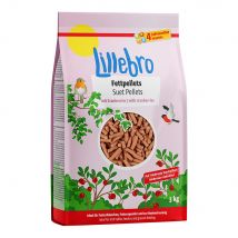 Lillebro Pellets de suif aux canneberges pour oiseaux - 3 kg