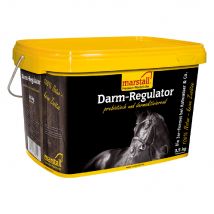 Marstall Darm-Regulator pour cheval - 3,5 kg
