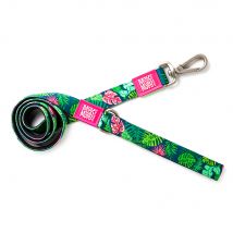 Laisse courte Max & Molly Tropical pour chien - taille L : L 120 x l 2,5 cm