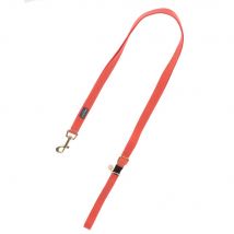 Collier Nomad Tales Bloom, corail pour chien  - laisse assortie : L 200 cm, l 20 mm