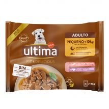 Ultima Fit & Delicious Mini Adult 44 x 100 g Umido per cane - Salmone e tacchino