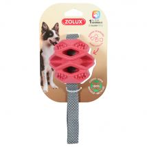 Zolux TPR Ball Outdoor Terra Chien