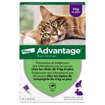 4 pipettes Ad-vantage 80 pour chat et lapin de plus de 4 kg
