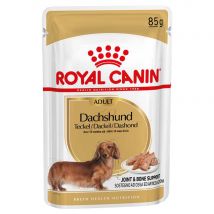 Royal Canin Dachshund Adult - Complementary: Royal Canin Breed Wet Dachshund (24 x 85g)