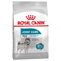 Lots économiques Royal Canin Size - Maxi Joint Care (2 x 10 kg)