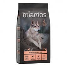 Lot Briantos SANS CÉRÉALES 2 x 12 kg pour chien - Adult Light/Sterilised dinde & pommes de terre