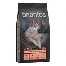 Multipack risparmio! 2 x Briantos 2 x 12 kg Adult Light/Sterilised Tacchino & Patate