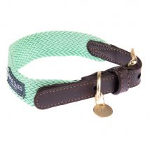 Collier Nomad Tales Bloom menthe, pour chien - taille M : tour de cou 40 - 46 cm, l 32 mm