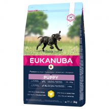 Eukanuba Puppy Large Breed pollo  - 3 kg