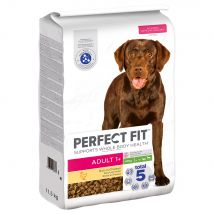 Perfect Fit Adult Dogs (>10kg) Crocchette per cani - Set %: 2 x 11,5 kg