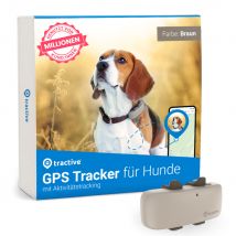 Traceur Tractive GPS pour chien - brun