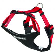 Harnais NEEWA Running Harness taille L tour de poitrail 64-104 cm - pour chien