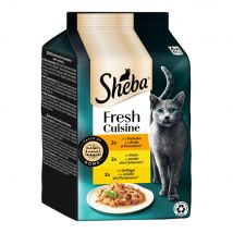 Sheba Verse Keuken Smaak van Rome 6 x 50 g - Kalkoen, Kip & Gevogelte in Saus