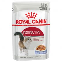 Royal Canin Regular Sensible 33 - Bestel ook natvoer: 12 x 85 g Royal Canin Instinctive in Gelei