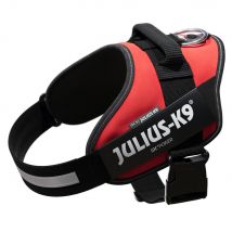 Julius®-K9 IDC® Power T. L Harnais rouge pour chien - Harnais pour chien