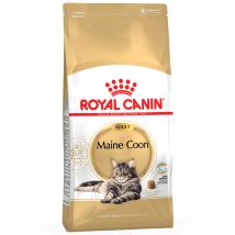 Multipack risparmio! 2 x Royal Canin Feline Crocchette per gatti - 2 x 10 kg Maine Coon Adult