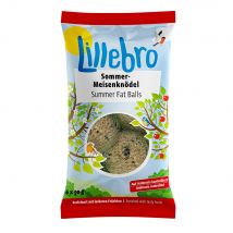 18x90g spécial été Lillebro Boules de graisse pour oiseaux + 6x90g offerts !