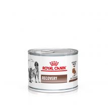 Royal Canin Veterinary Dog & Cat – Recovery Mousse - Saver Pack: 24 x 195g