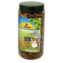 JR Farm gusanos de la harina en bote - Pack % - 2 x 70 g