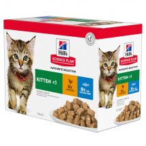 Hill's Kitten para gatos - 48 x 85 g Selección de carne y pescado