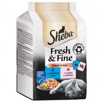 Sheba Délices du Jour 72 x 50 g Alimento umido per gatti - Selezione di Pesce - Salmone & Tonno in Salsa
