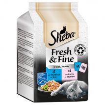 Sheba Fresh & Fine 72 x 50 g - Pack % - Atún y salmón en gelatina