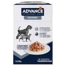 Advance Recovery Veterinary Diets comida húmeda para perros y gatos - 11 x 100 g