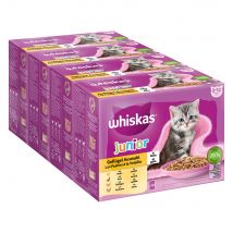 Whiskas Junior buste 48 x 85 g Alimento umido per gatti - Selezione Carni Bianche in Gelatina