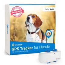 Traceur Tractive GPS pour chien - blanc